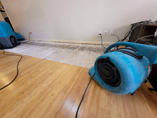 Professional Flood Damage Cleanup technician working in Depew, OK